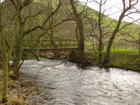 Below the Bridge